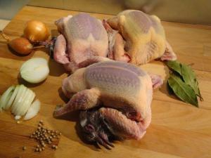 Le pigeonneau est une viande de gourmet. Cette viande rouge est tr&egrave;s riche en fer et peu grasse. Son temps de cuisson est tr&egrave;s court car elle se consomme ros&eacute;e.&nbsp;

Pour nos pigeonneaux entiers deux calibres sont disponibles.

Les gros pigeonneaux vous permettront de satisfaire 2 personnes.

Si vous pr&eacute;f&eacute;rez un pigeonneau par personne choisissez le petit calibre.&nbsp; &nbsp; &nbsp; &nbsp;

Nos pigeonneaux sont vendus frais en carton,&nbsp; entour&eacute;s de papiers ingraissables.&nbsp;&nbsp;

&nbsp;
